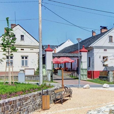 Háj ve Slezsku Slezsky Grunt酒店 外观 照片